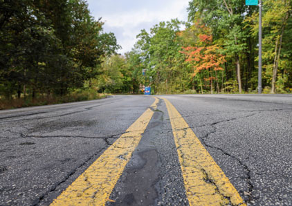 Des Plaines driveway in the fall.